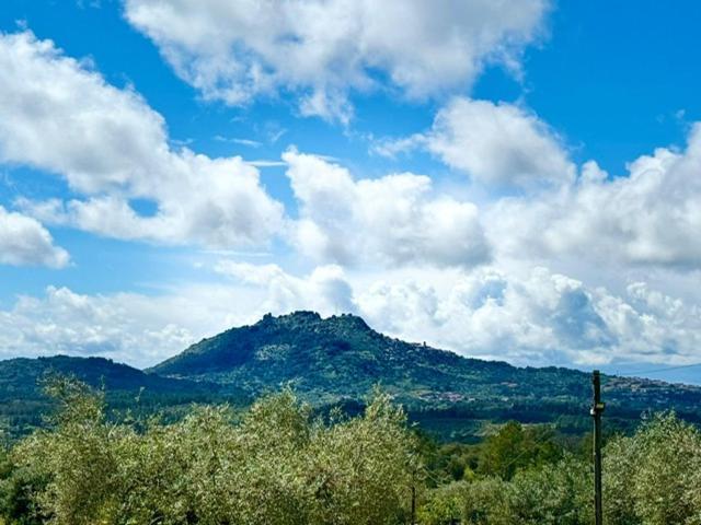 Bed and Breakfast Zion Jardim Monsanto Esterno foto