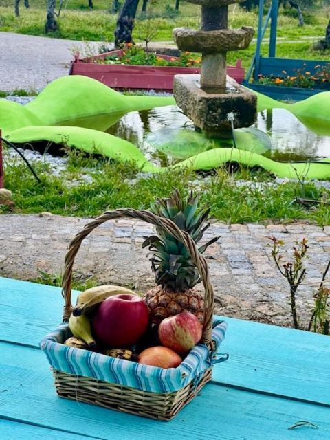 Bed and Breakfast Zion Jardim Monsanto Esterno foto