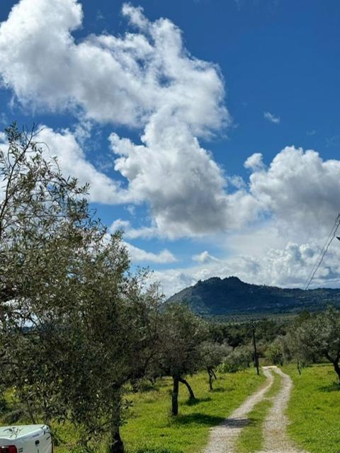 Bed and Breakfast Zion Jardim Monsanto Esterno foto