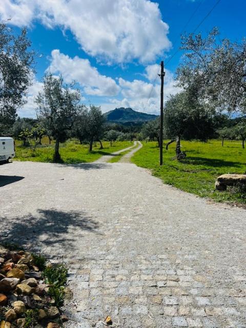 Bed and Breakfast Zion Jardim Monsanto Esterno foto