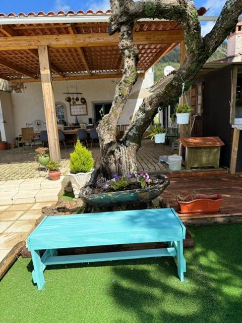 Bed and Breakfast Zion Jardim Monsanto Esterno foto