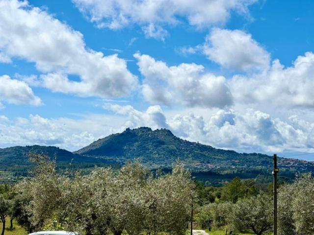 Bed and Breakfast Zion Jardim Monsanto Esterno foto