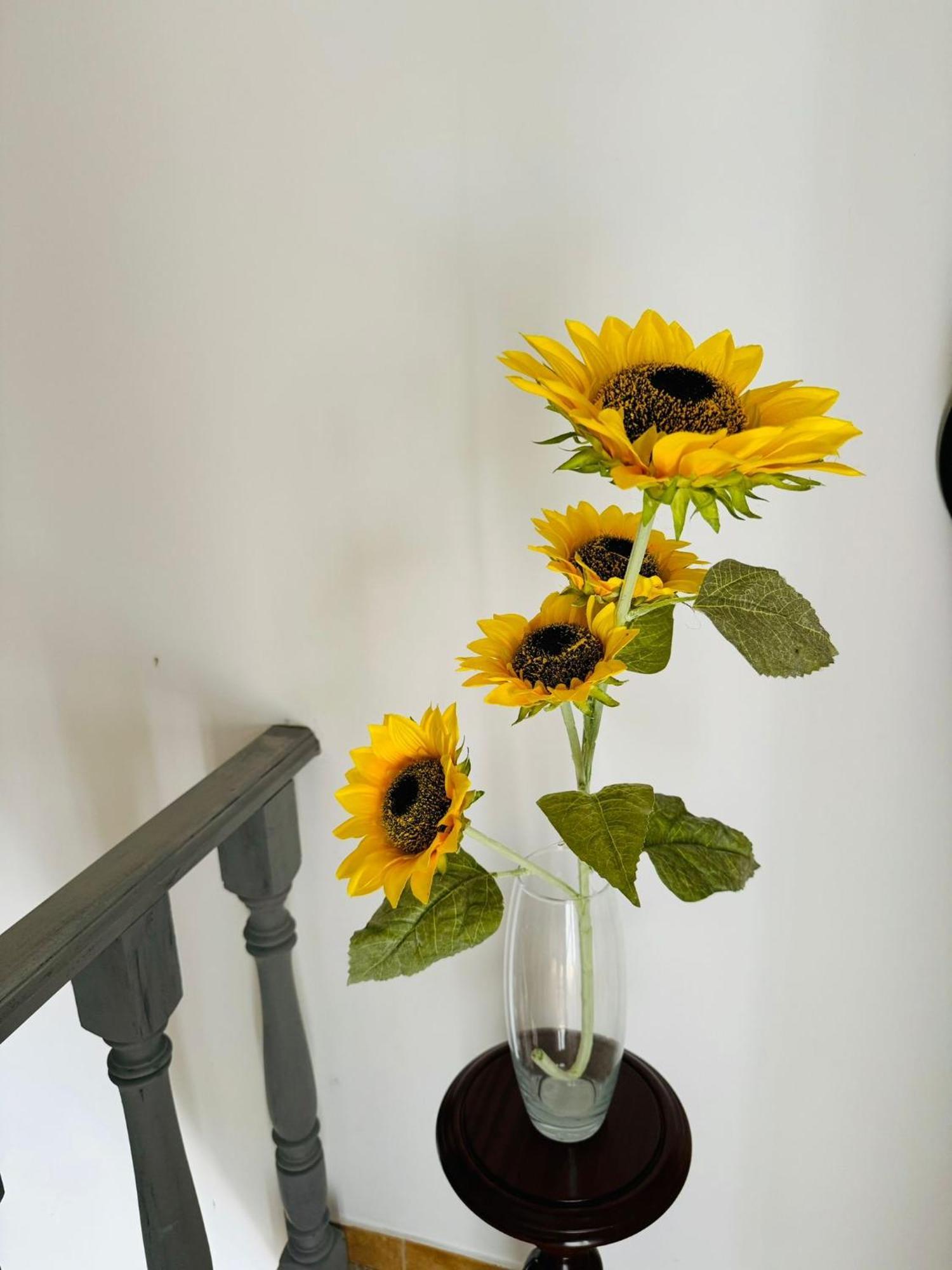 Bed and Breakfast Zion Jardim Monsanto Esterno foto