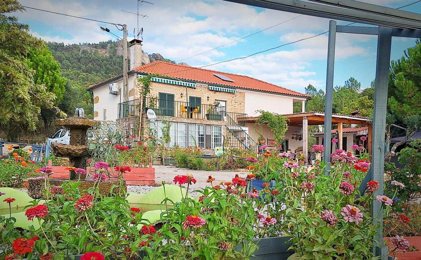 Bed and Breakfast Zion Jardim Monsanto Esterno foto